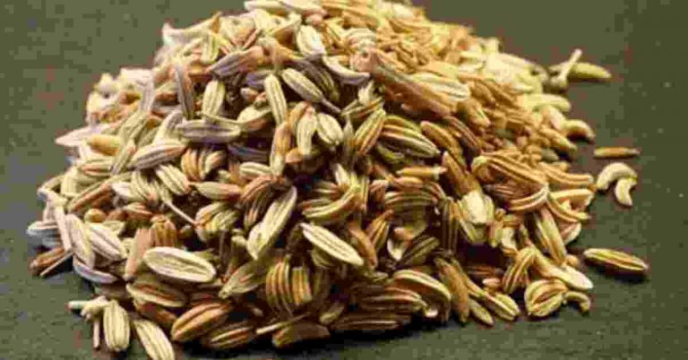 fennel seeds in marathi