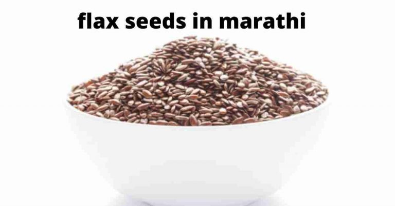 flax seeds in marathi